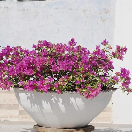 Hotel Casa Cytia Cartagena Екстериор снимка