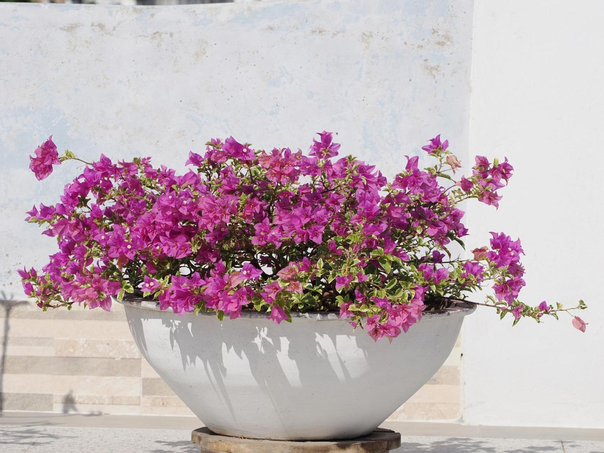 Hotel Casa Cytia Cartagena Екстериор снимка