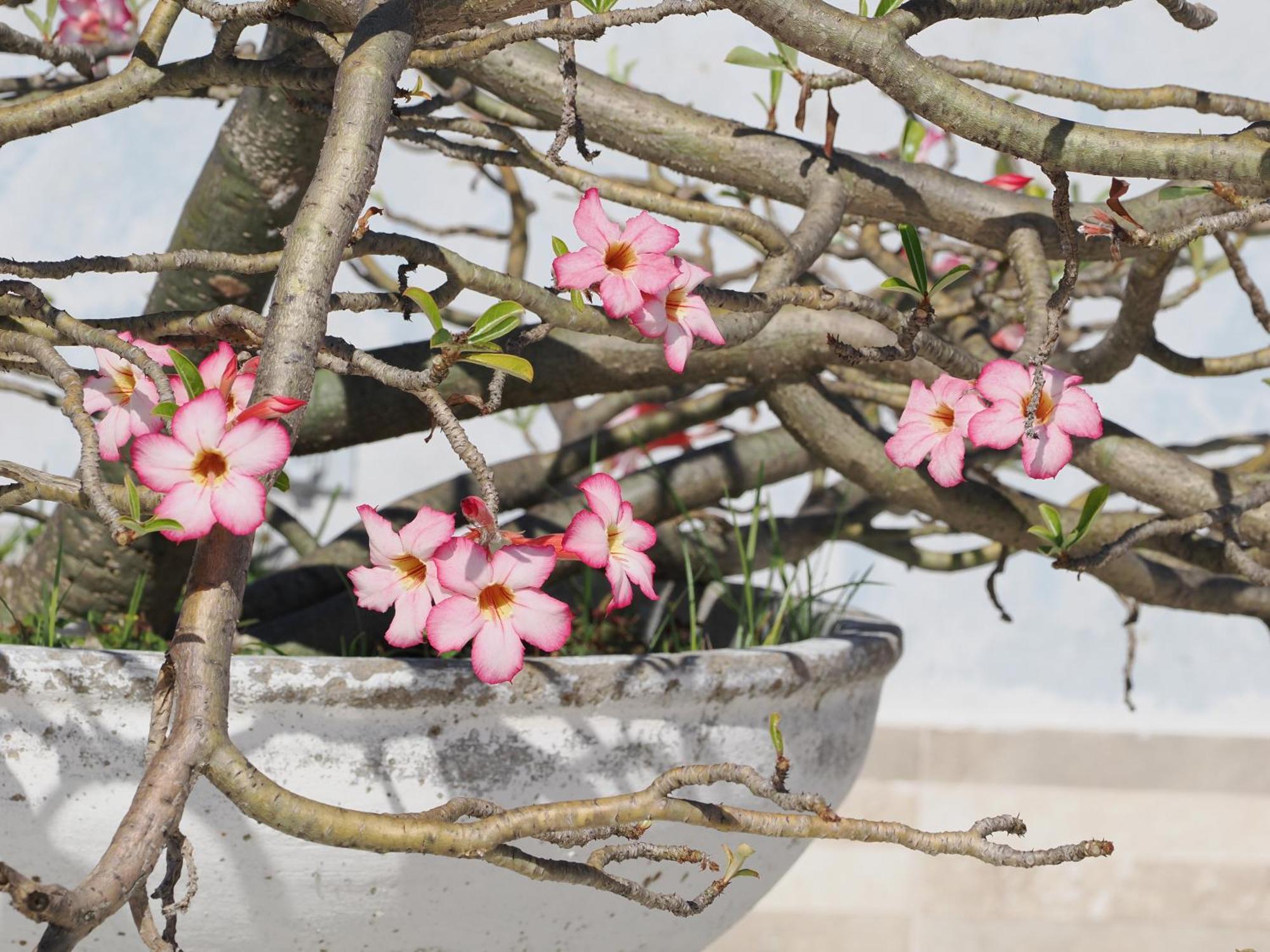 Hotel Casa Cytia Cartagena Екстериор снимка
