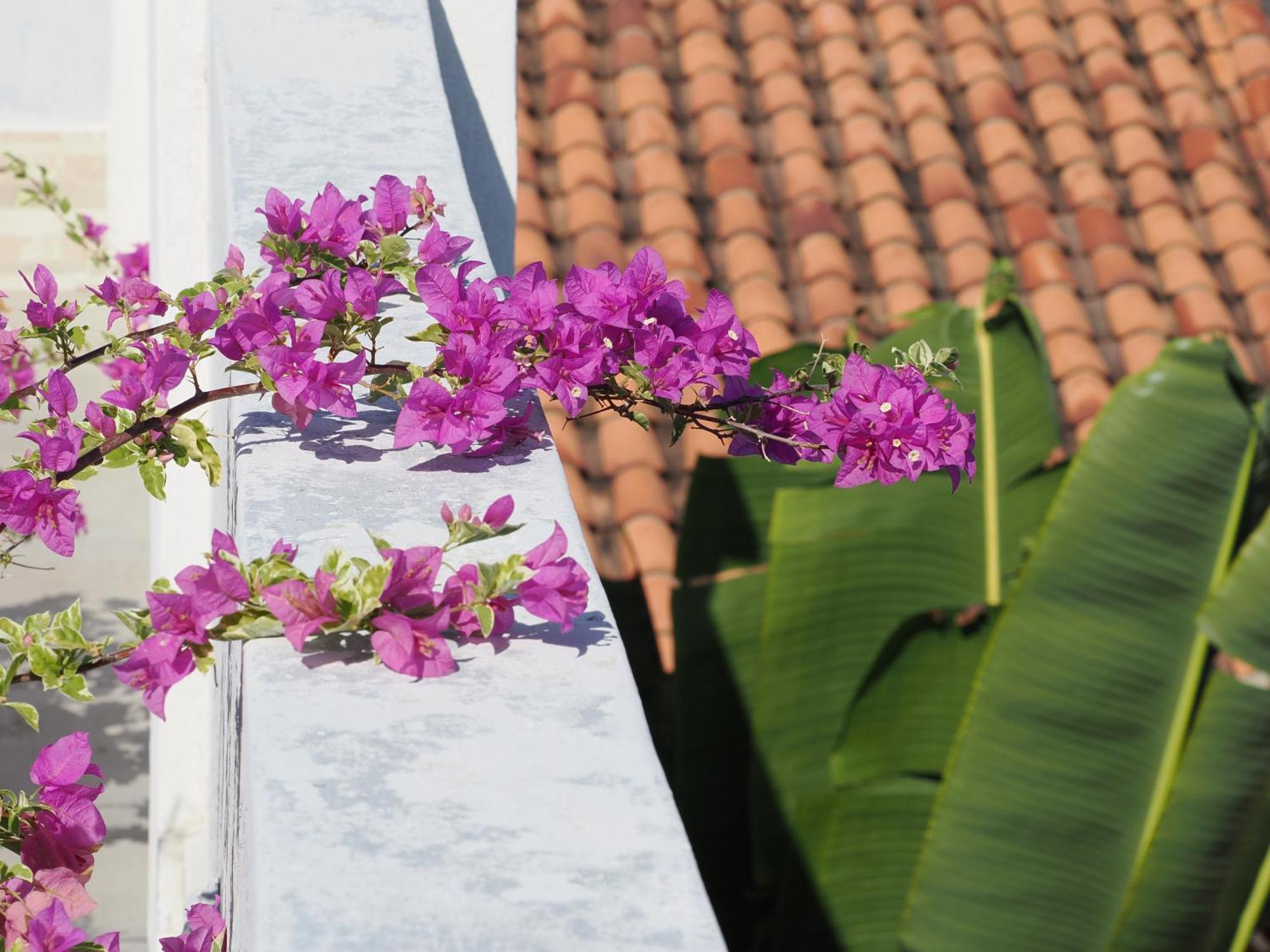 Hotel Casa Cytia Cartagena Екстериор снимка